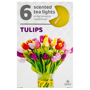 ILLATOS TEAMÉCSES 6DB-OS TULIPS / TULIPÁN