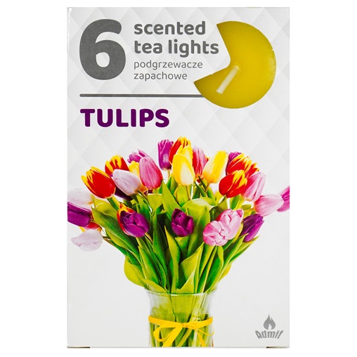 ILLATOS TEAMÉCSES 6DB-OS TULIPS / TULIPÁN