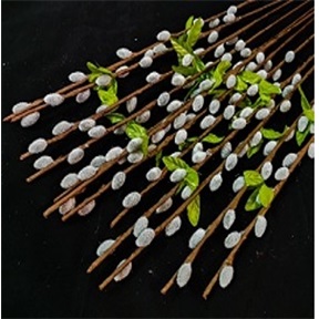 SELYEMVIRÁG BARKA ÁG KICSI 74CM 20308