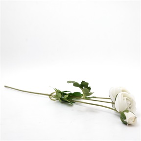 SELYEMVIRÁG BOGLÁRKA / RANUNCULUS 56CM SK 1504,49