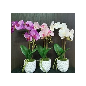 SELYEMVIRÁG ORCHIDEA CSEREPES 28064