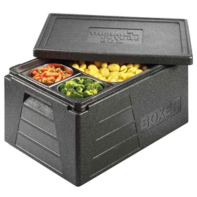 THERMO BOX 42L 80054010