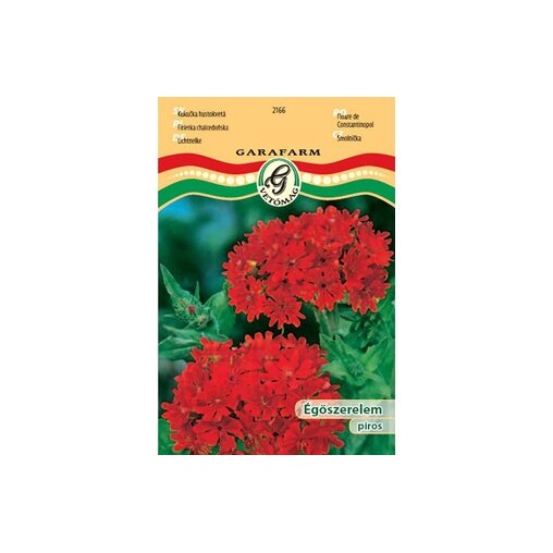 VIRÁGMAG GF PRÉMIUM ÉGŐSZERELEM / PIROS 716777