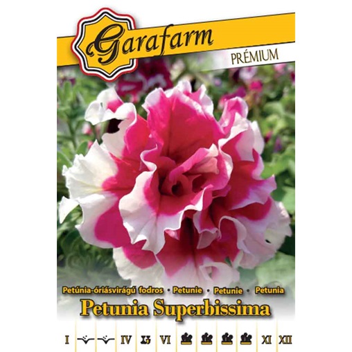 VIRÁGMAG GF PRÉMIUM PETÚNIA / ÓRIÁSVIRÁGÚ FODROS SZÍNKEVERÉK 715794